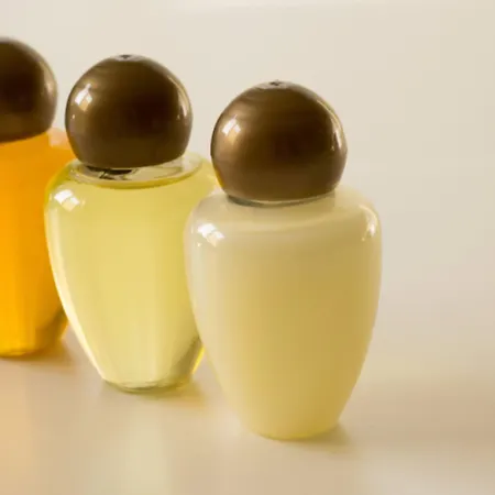 ホテル Majestic 3*